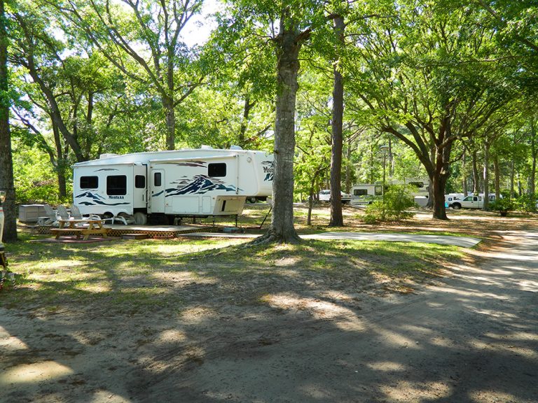 The Preserve at Kitty Hawk Woods – Outerbanks Camping